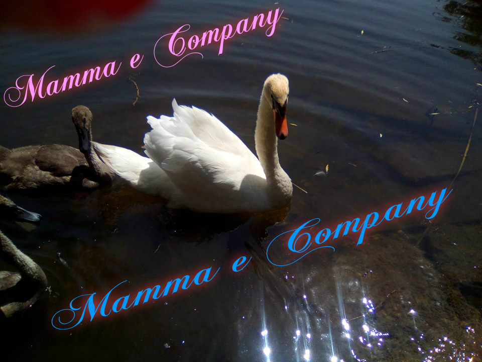 mamma e company