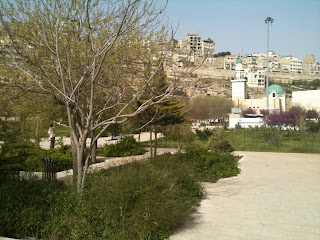 a path with trees and bushes in front of a city