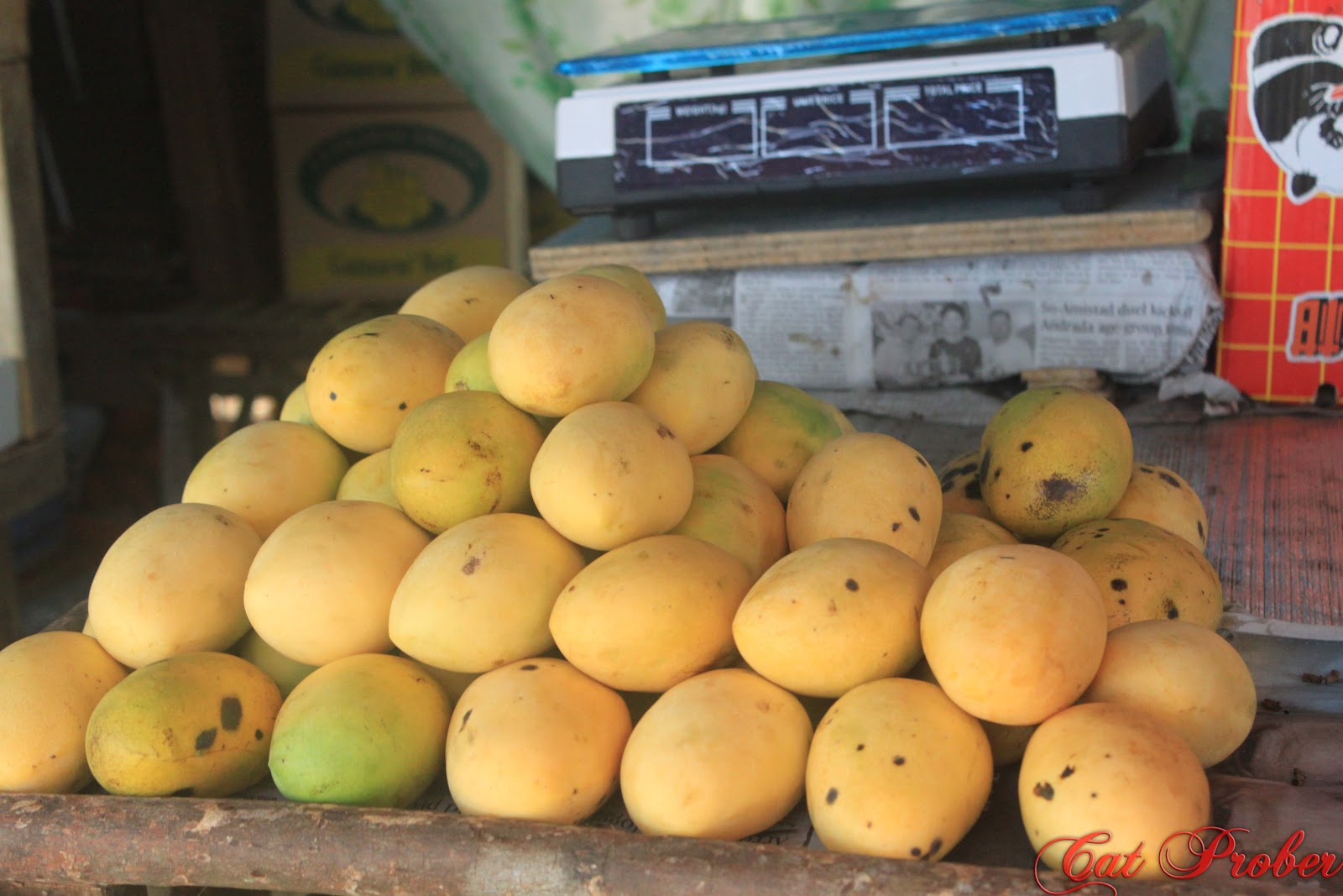A Wanderer's Journey Guimaras The Sweetest Mangoes