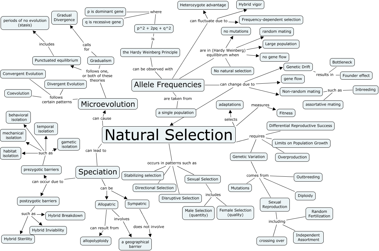 Concepts Of Evolution And Natural Selection Concepts Of Evolution And Natural Selection