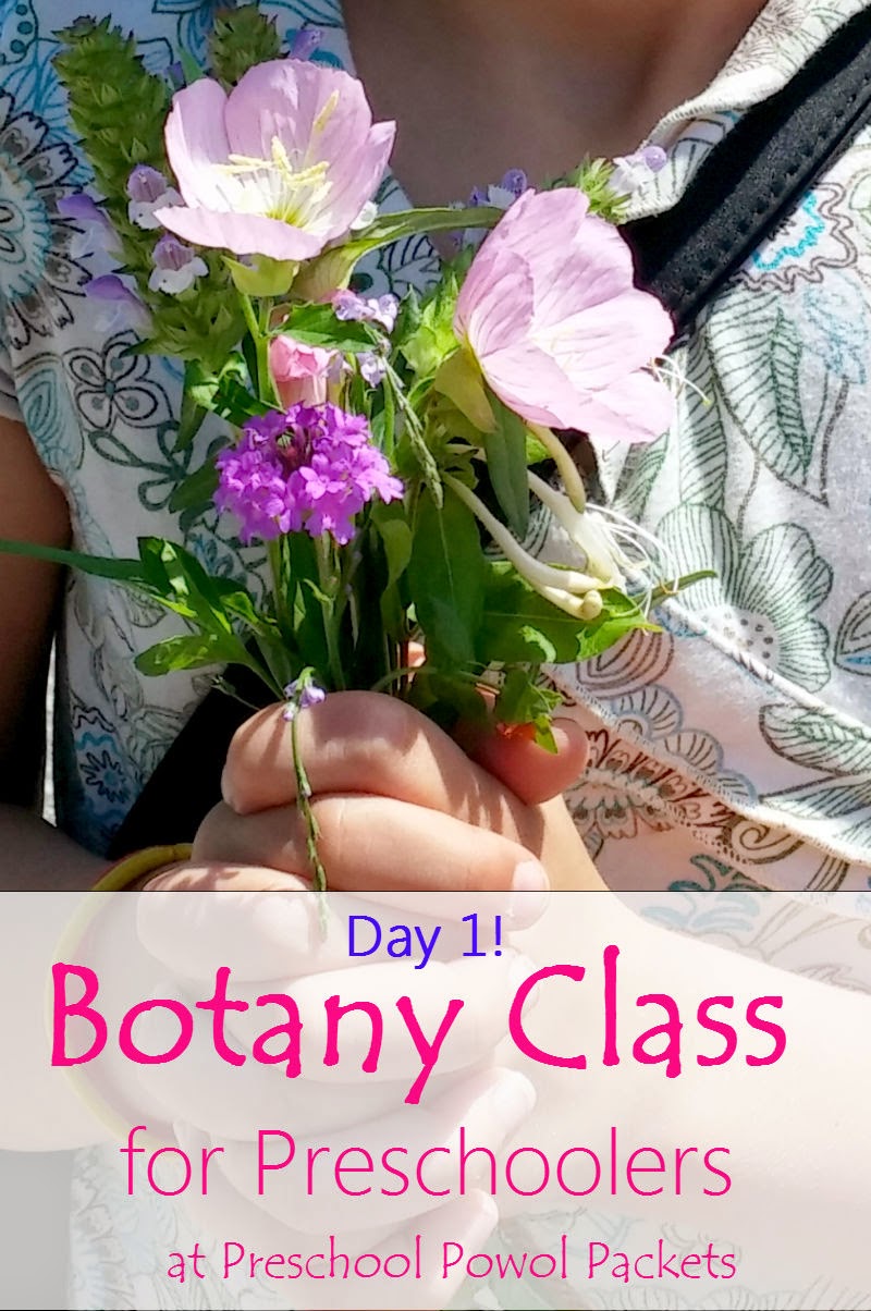 Preschool Botany Class Day 1 Preschool Powol Packets
