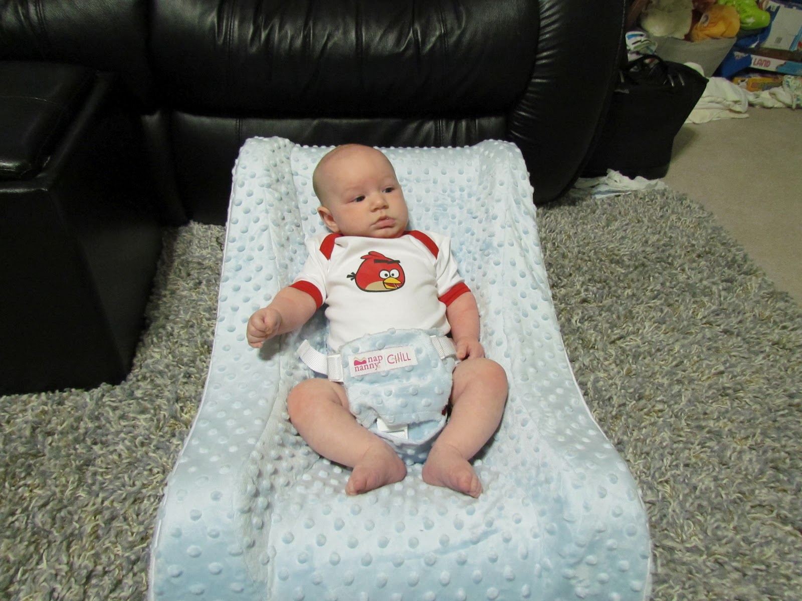 Mommy's Favorite Things Nap Nanny Review