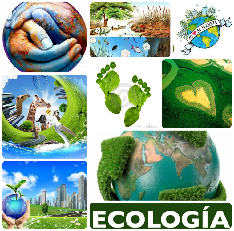 Collage de Ecologia