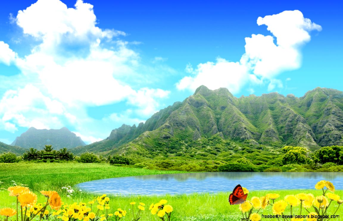 New Love Nature Home Art Summer Wild Scenery Your HD Wallpaper New Love Nature Home Art Summer Wild Scenery Your HD Wallpaper