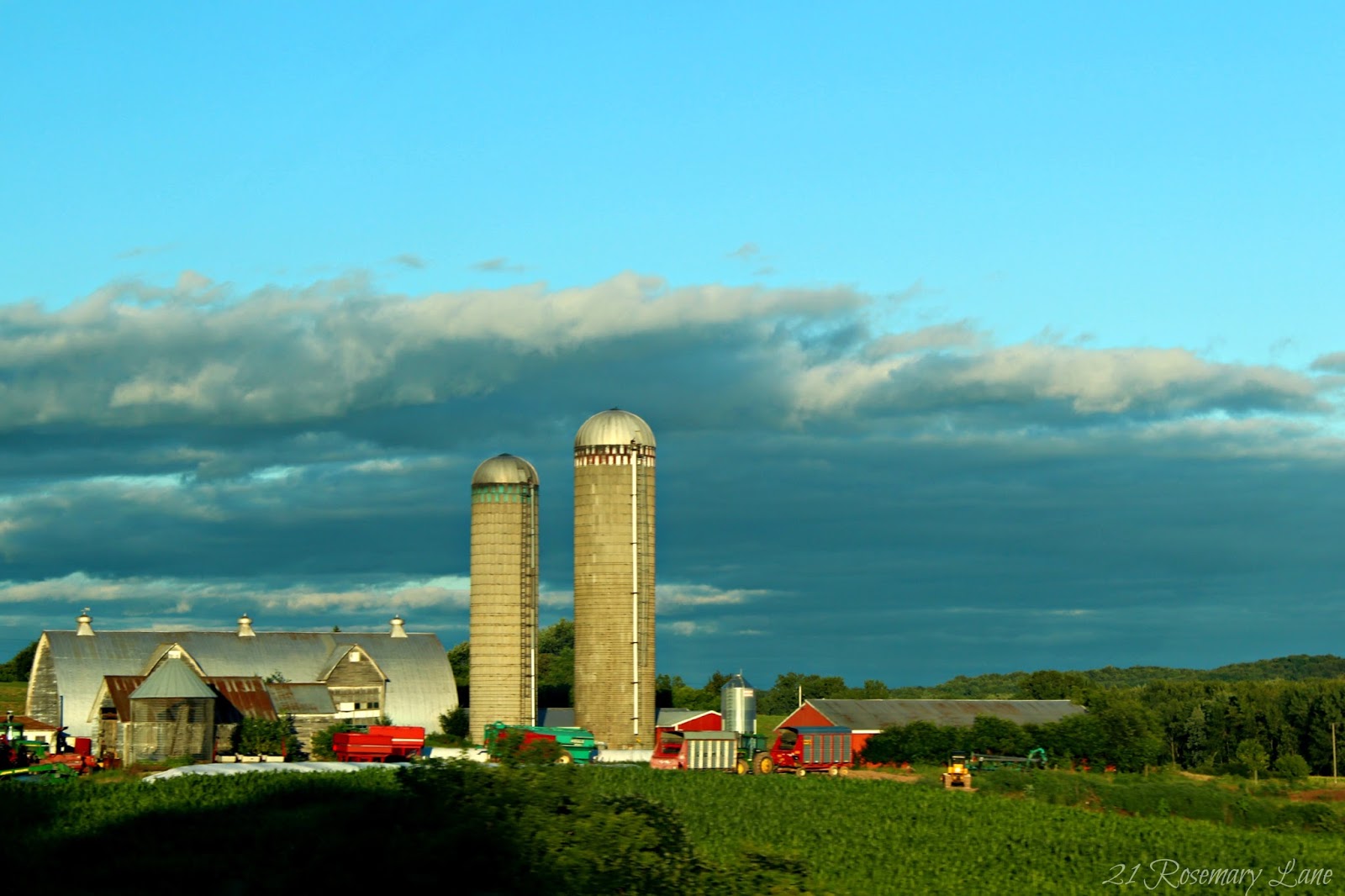 21 Rosemary Lane Images from the Side of the Road