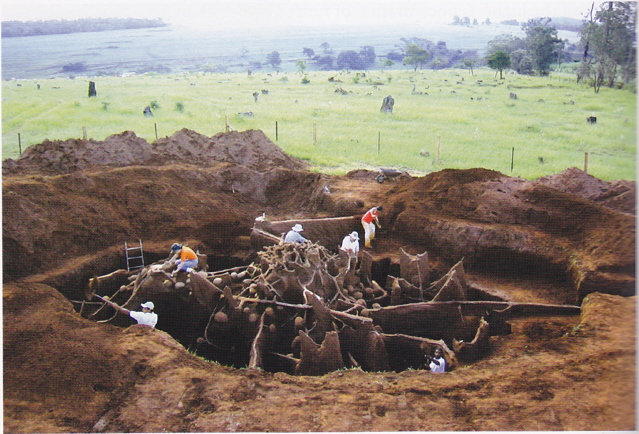 ant hill cement