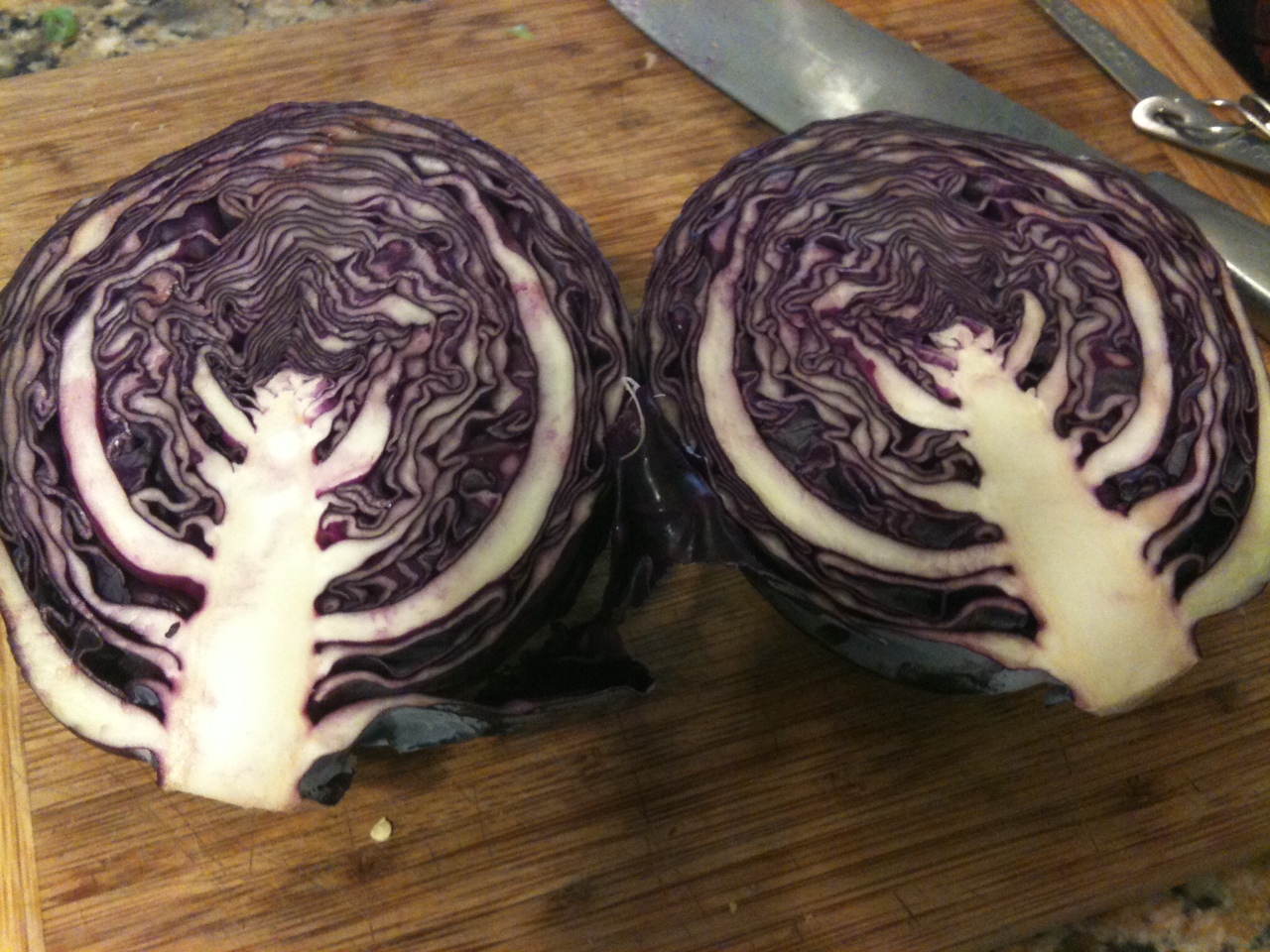 Cabbage Cut