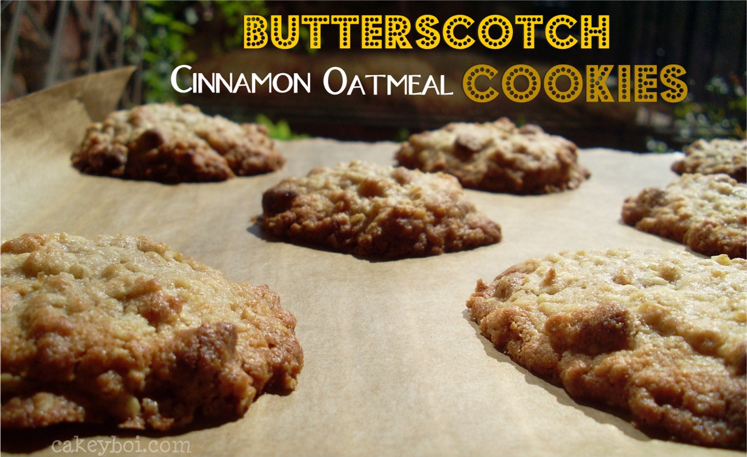 Cakeyboi Butterscotch Cinnamon Oatmeal Cookies