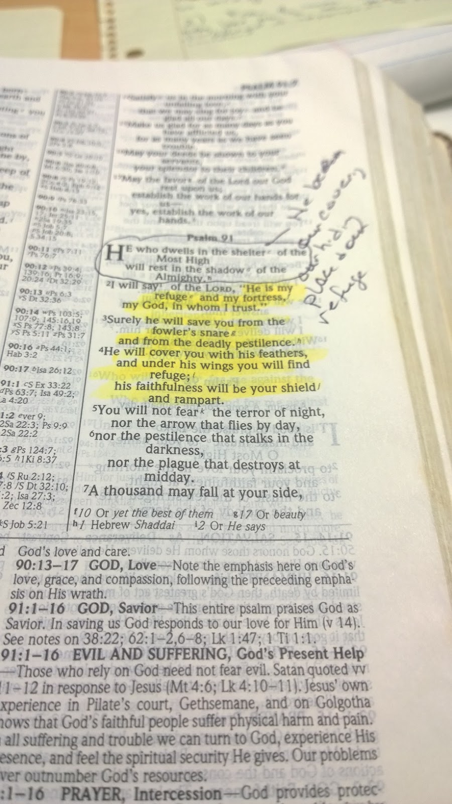 free daily bible study free daily bible study
