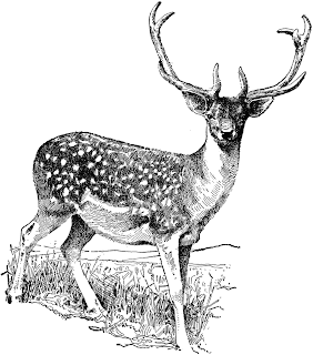 Victorian deer clipart
