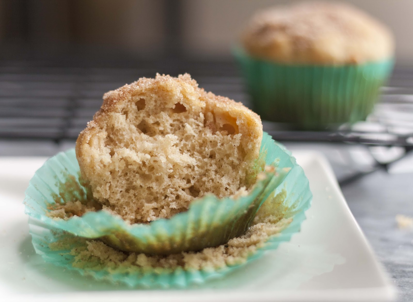 *SkinnyMinhy's Adventures in Food + Crafting Land* Yogurt Cinnamon