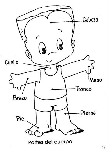 RECURSOS EDUCACION INFANTIL: Vocabulario: PARTES DEL CUERPO