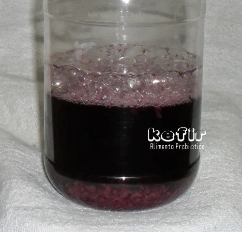 Kefir de água cultivado no suco de uva