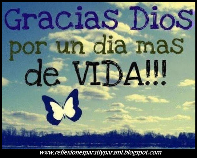 YO DOY LAS GRACIAS A LA VIDA DIA DIA yo doy las gracias a la vida dia dia: