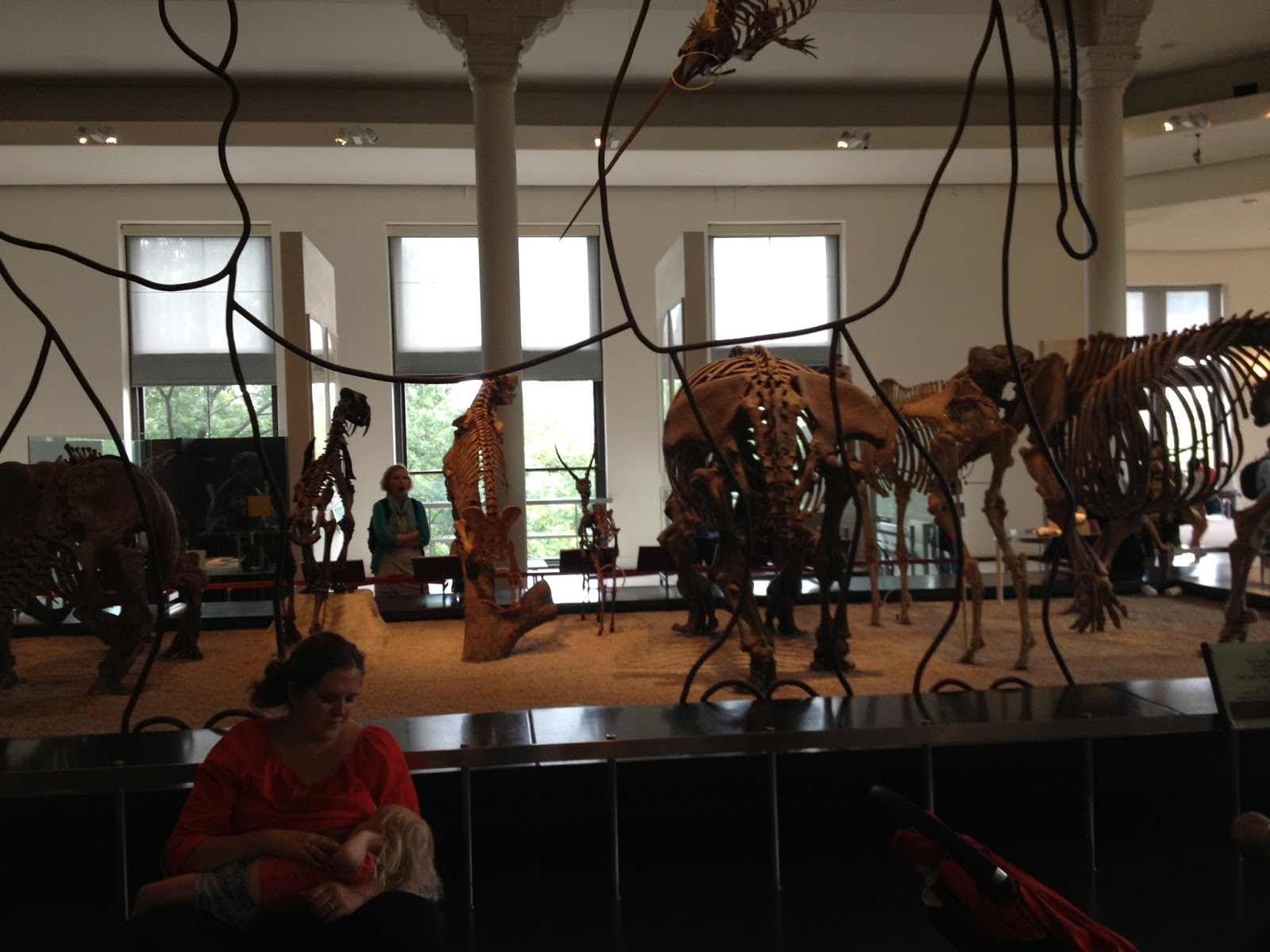 Car Accident Car Accident Beach Park Il