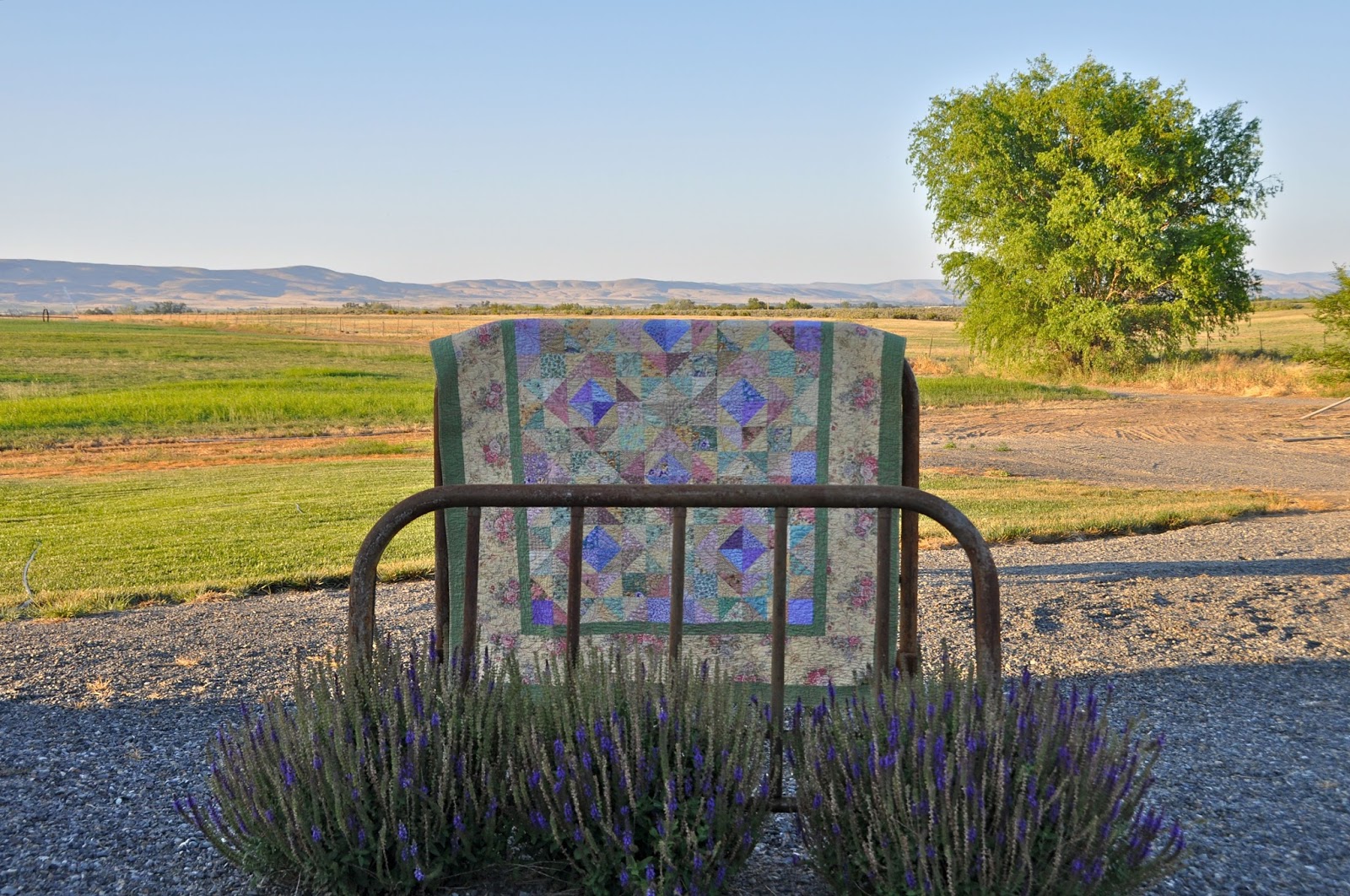 LuAnn Kessi Paul Harvey Quilt......Washington State