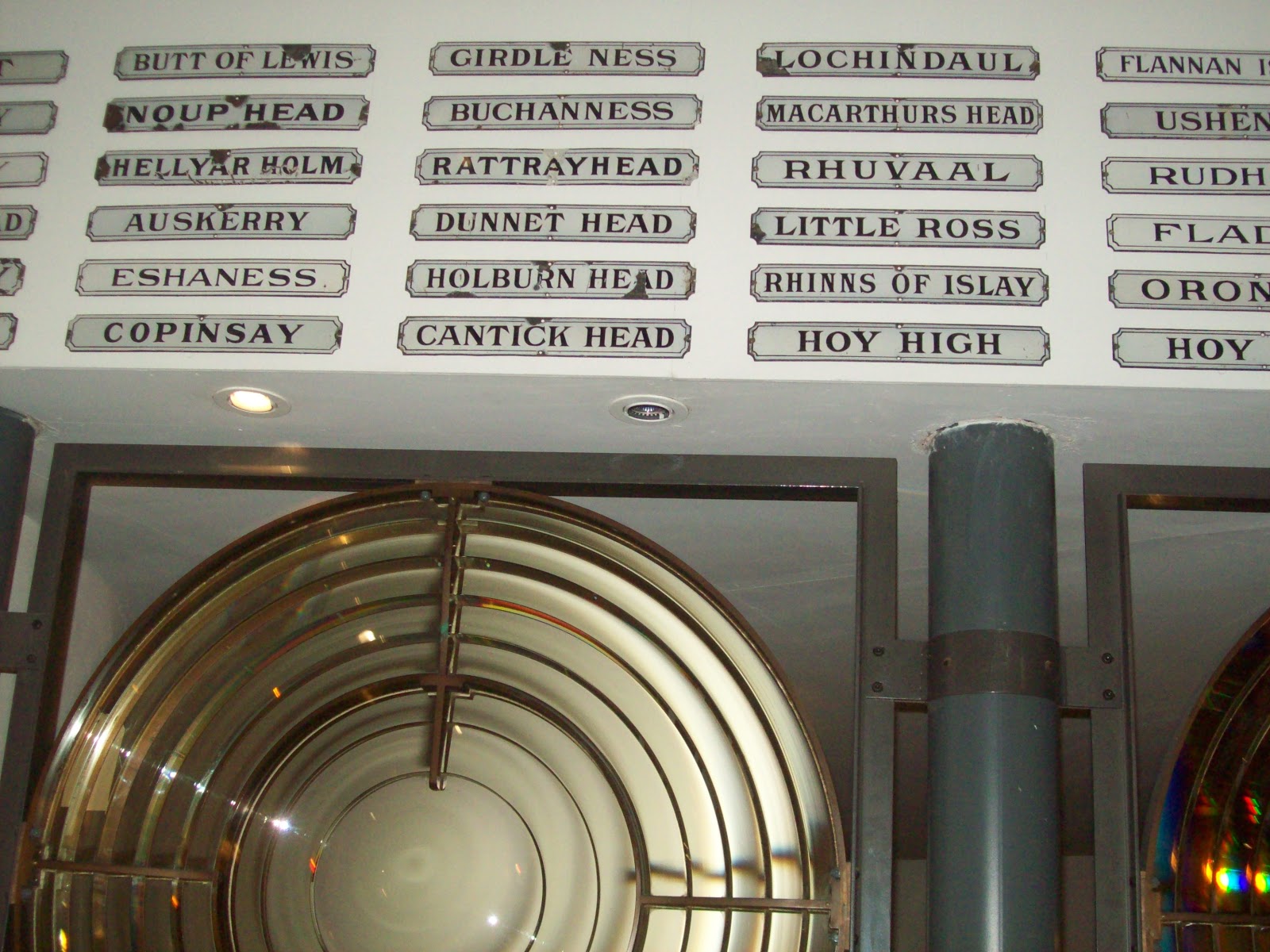 Laforet De L Alveole Au Pot De 11 Cm Pepinieres Du Bocage Jeunes