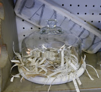 glass cloche