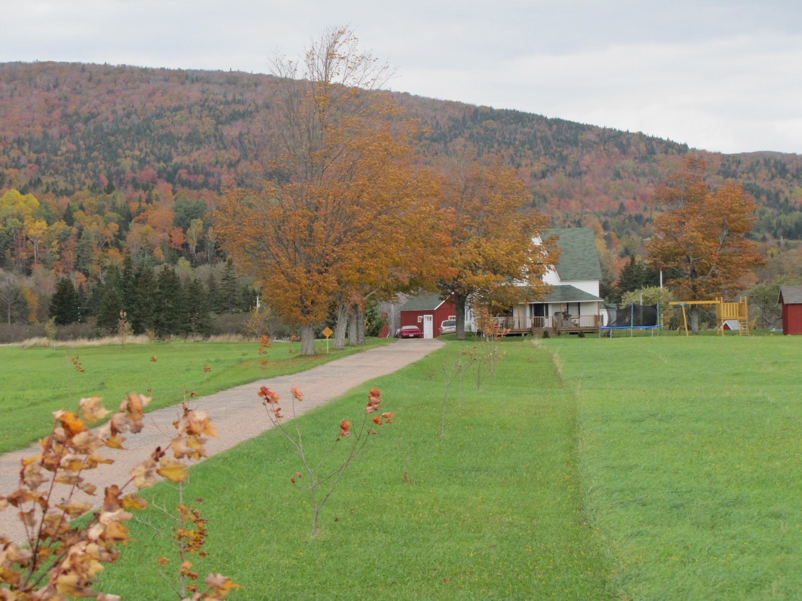 The Margaree Trail The Fall colours of the Margaree Trail