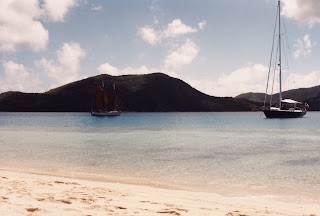 Prickly Pear Island overlooking Gun Creek - image credit - The Tech-House