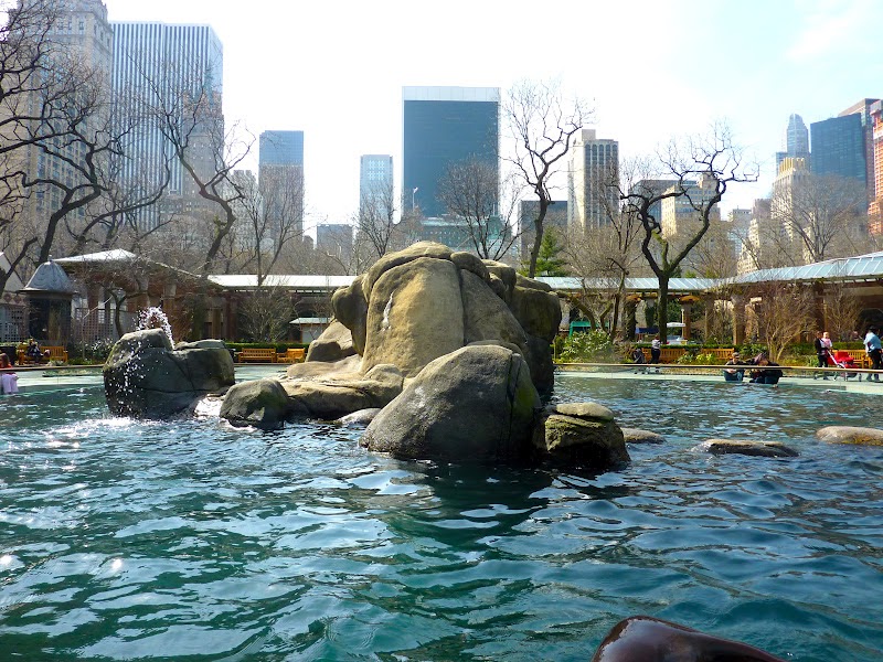 My New York Diary Central Park Zoo