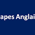 capes anglais 2009