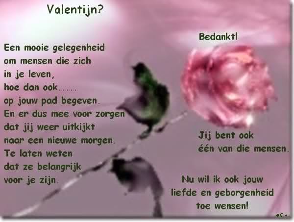valentijn gedichten vriendschap