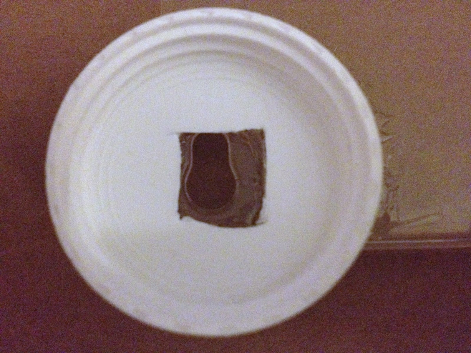 Telescope Skywatch iPhone Telescope Adapter, Smartphone Mount