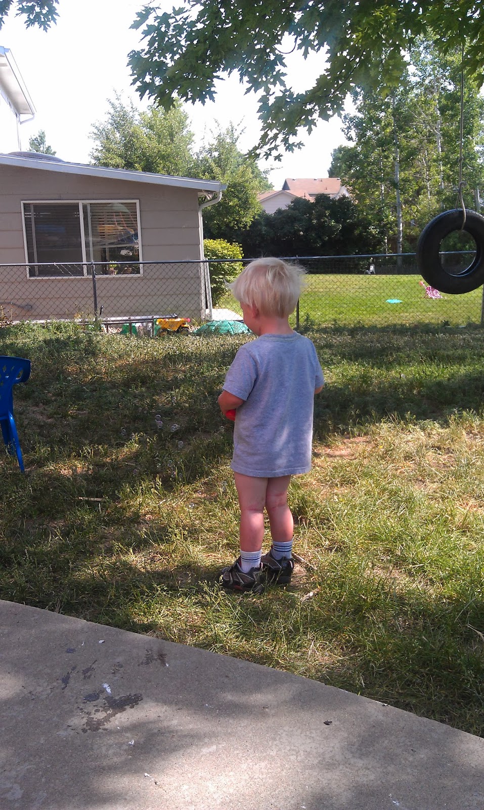 How to potty train a rabbit, the best potty training chairs, daycare