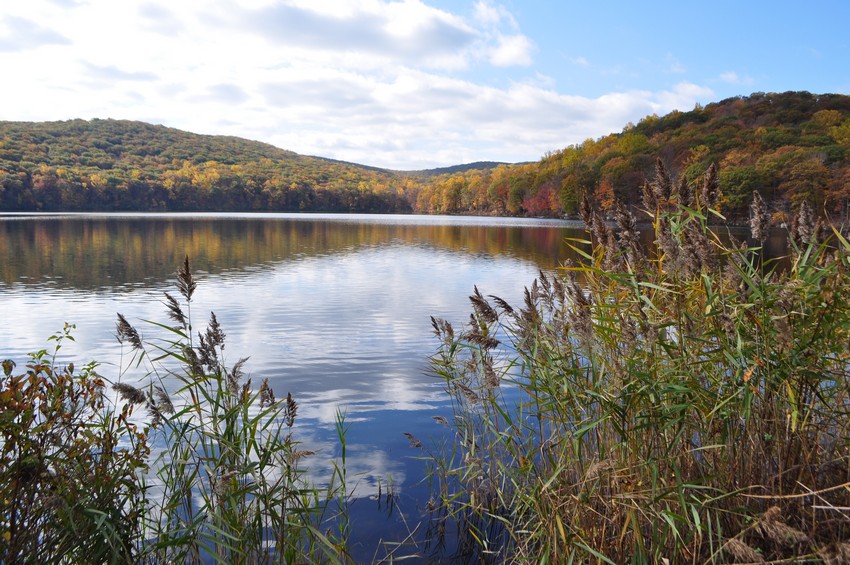 Harriman Hiker Harriman State Park and Beyond Silvermine Lake & Black