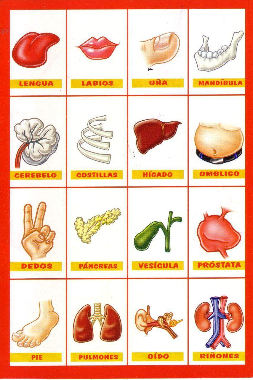 Menta Más Chocolate - RECURSOS y ACTIVIDADES PARA EDUCACIÓN INFANTIL