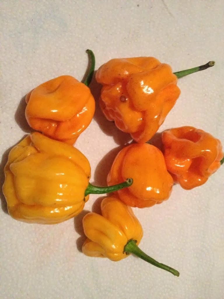 Nnedi's Wahala Zone Blog Tainted Pepper Soup Recipe