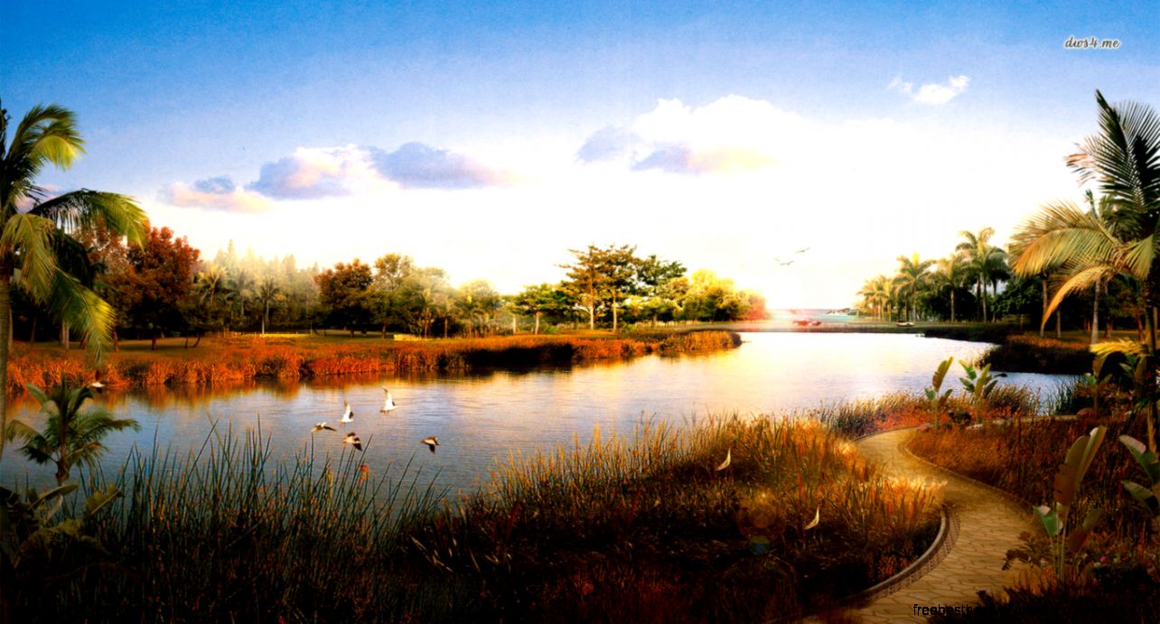 Wildlife wallpaper Nature wallpapers 2516 Wildlife wallpaper Nature wallpapers 2516