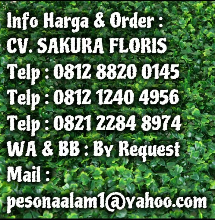 INFO ORDER DAN HARGA