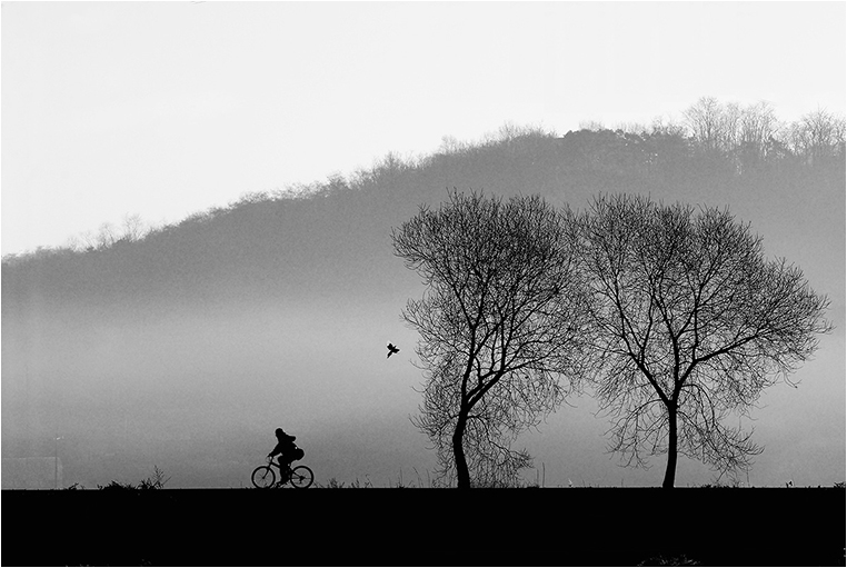 Emerging Photographers, Best Photo of the Day in Emphoka by Seungjin Song Emerging Photographers, Best Photo of the Day in Emphoka by Seungjin Song