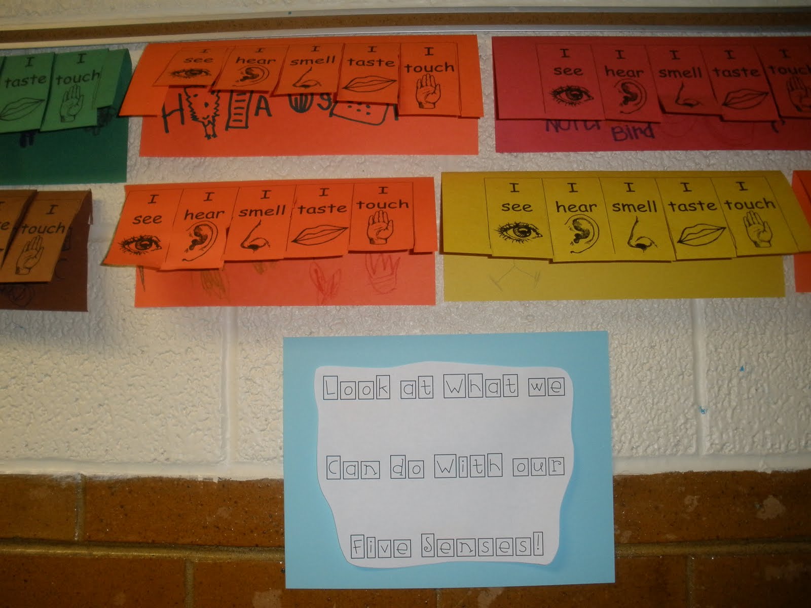 The Art of Teaching: A Kindergarten Blog: 5 Senses