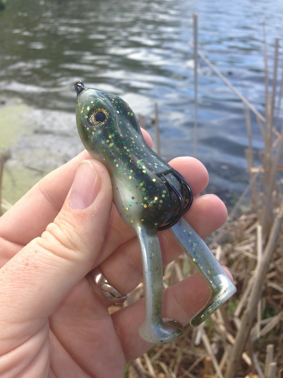 Bass Junkies Frog Pond: Stanley Ribbit Top Toad Review