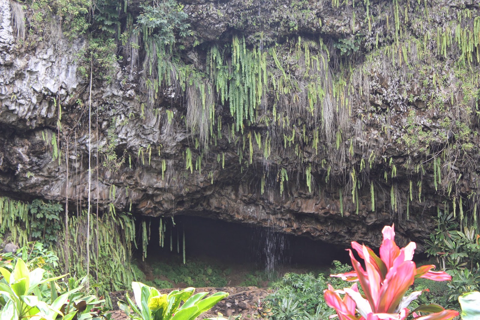 *Over the Rainbow* Fern Grotto Kauai