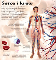 KSIĄŻECZKI SYNKA I CÓRECZKI :): Nasze ciało