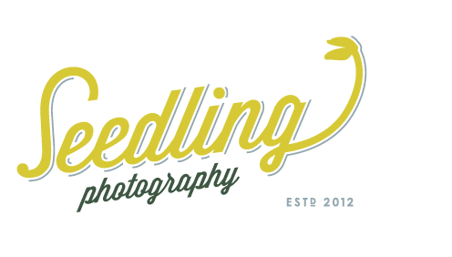 Seedling Photography