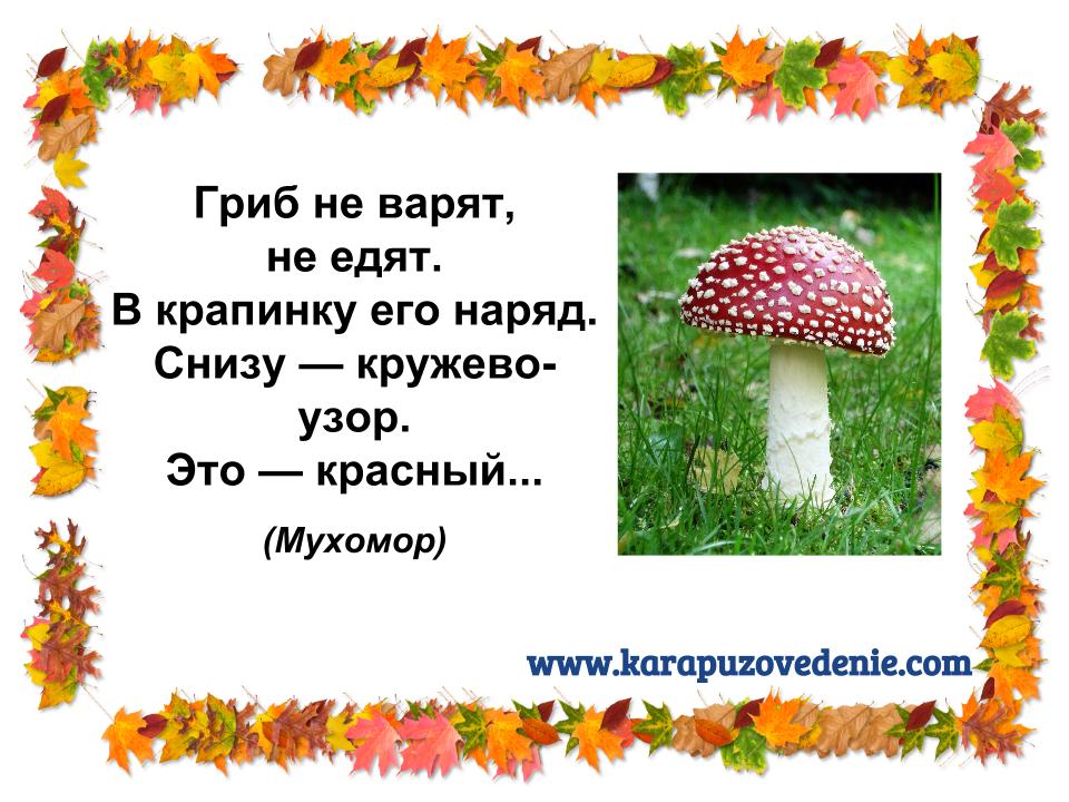 Стих про мухомора для детей Стих про мухомора для детей