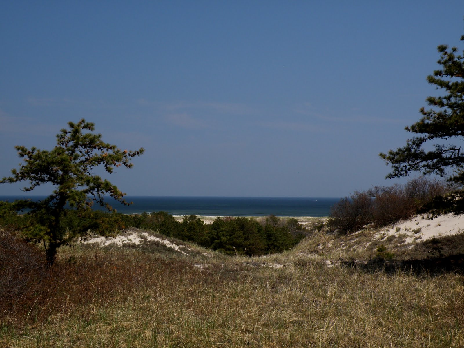 JustJoe Hiking Crane Beach Estate Ipswich Ma.