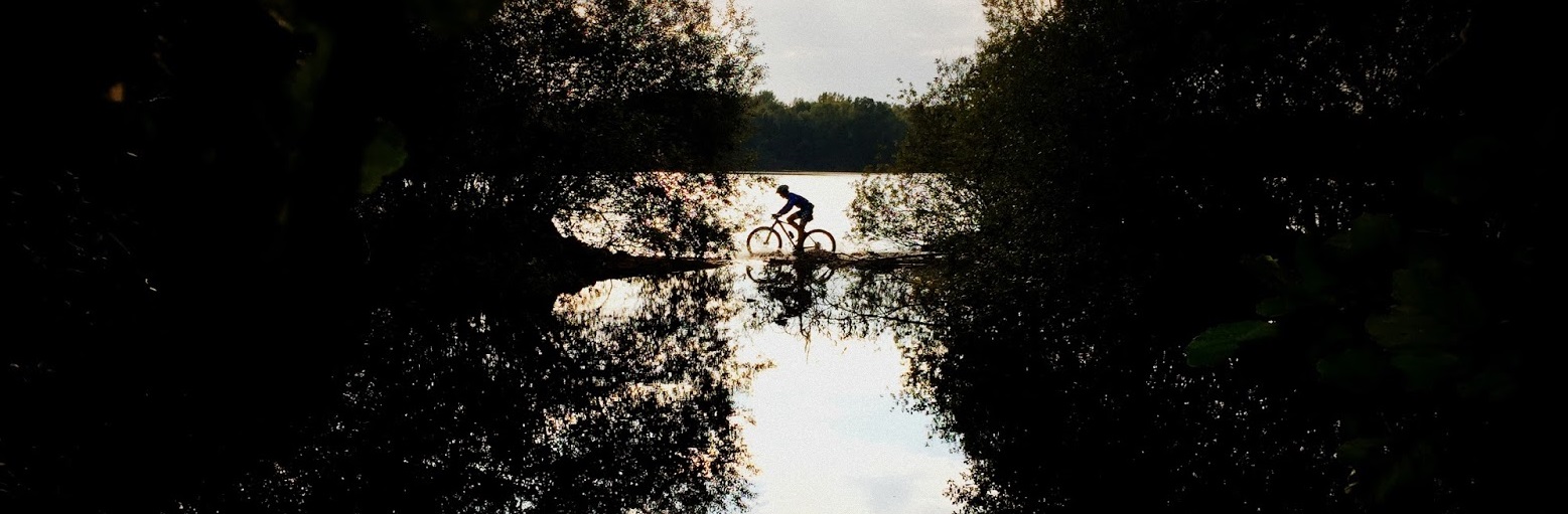 Facile Et Beau Gusta Im Kuhlen Wald