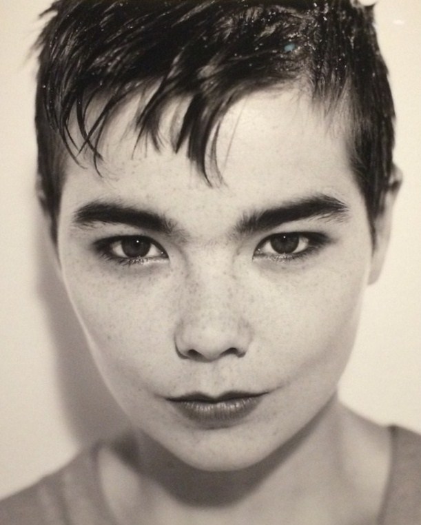 Bjork Gudmundsdottir 2015