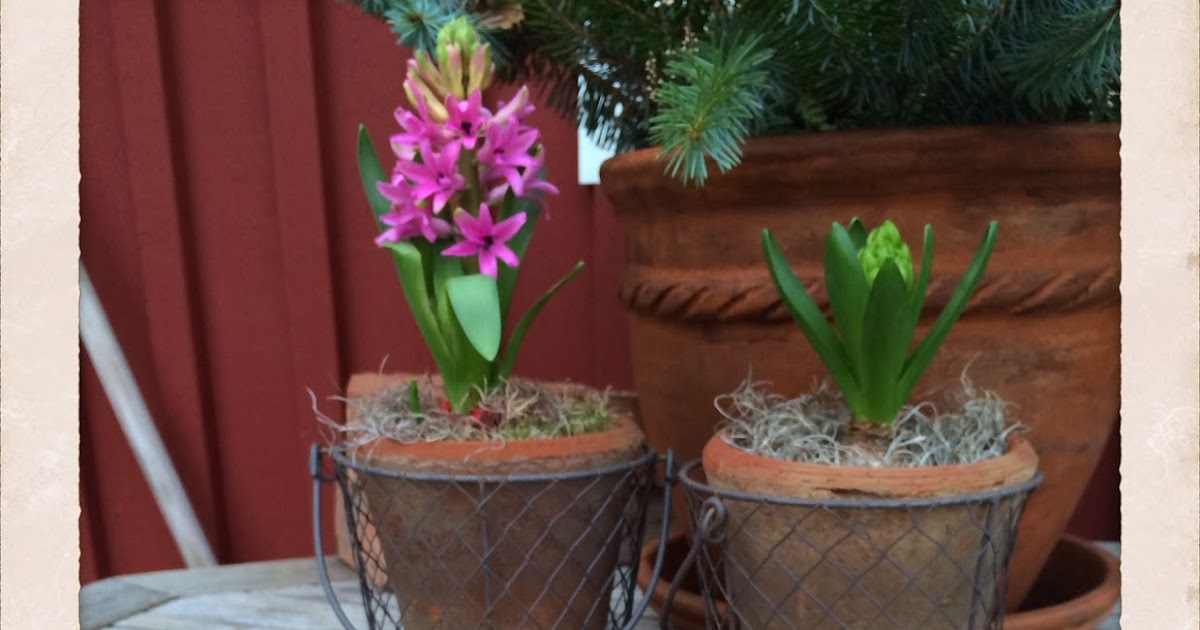 Malin's Diner NOBLESSEKAKOR