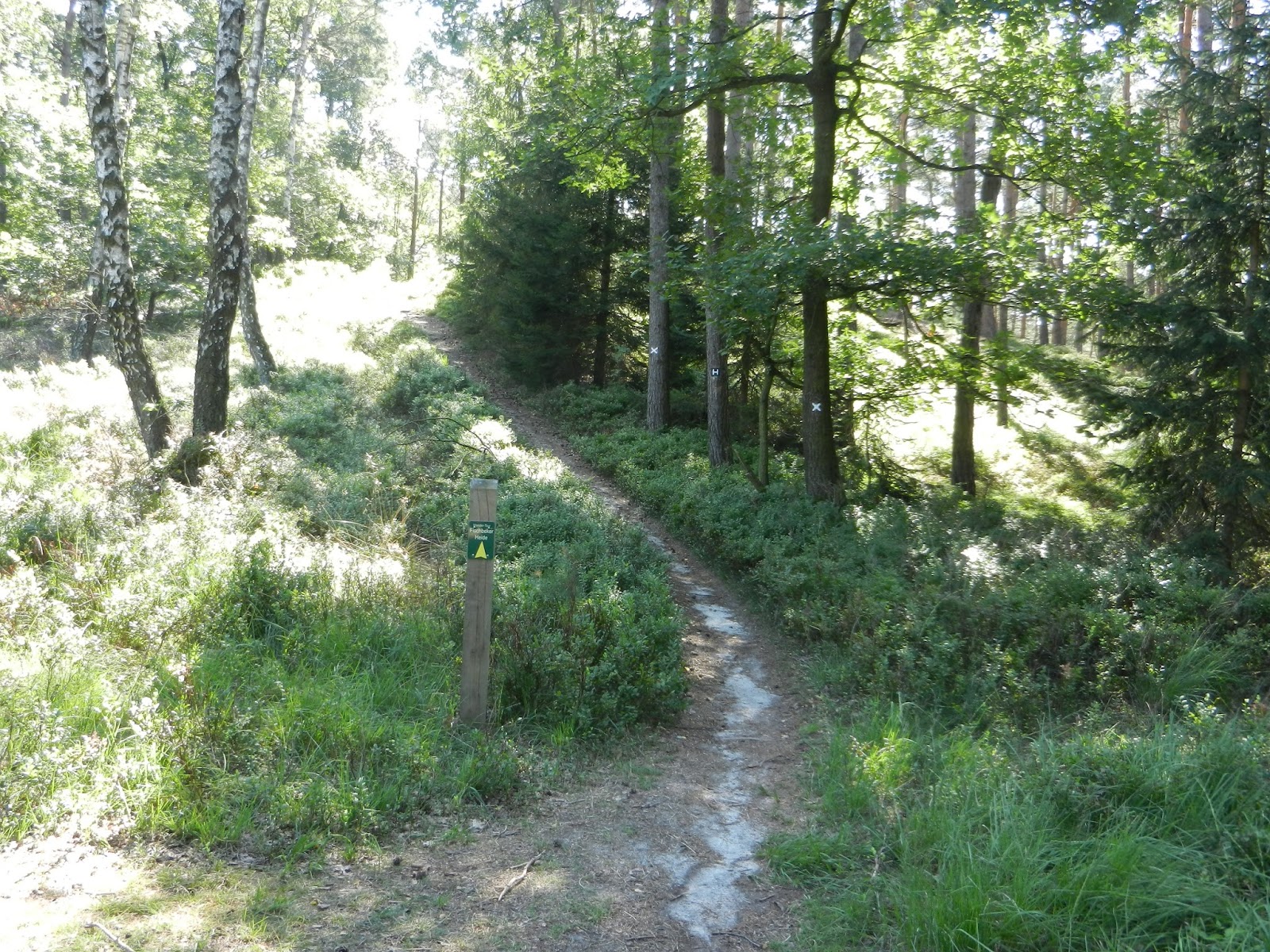 Der Wanderfreund Heidschnuckenweg 1 Etappe Fischbek Nach