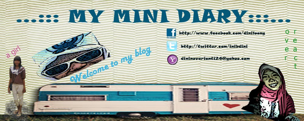 My Mini Diary
