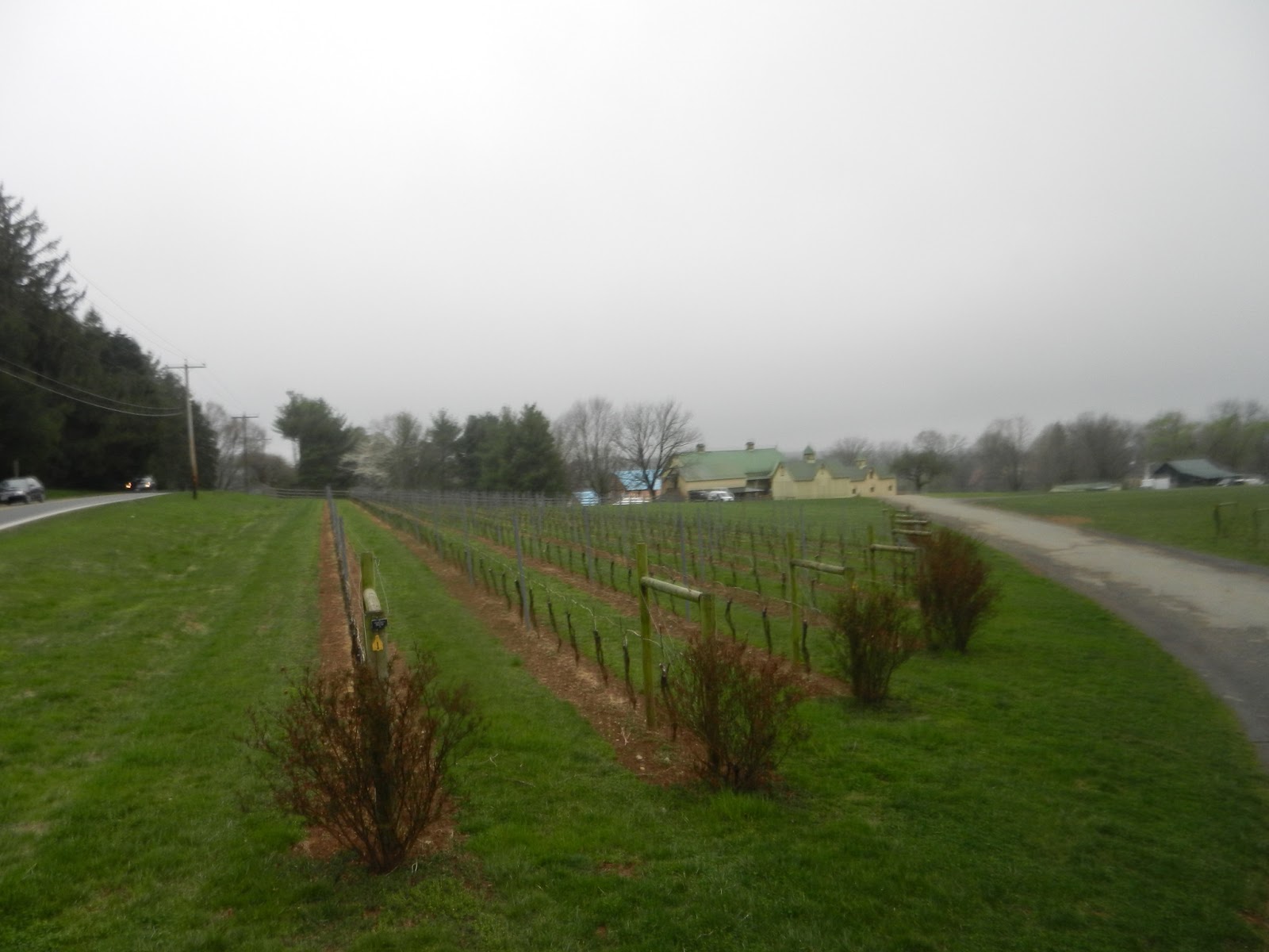 schillerwine Boordy Winery in Maryland A Profile, USA