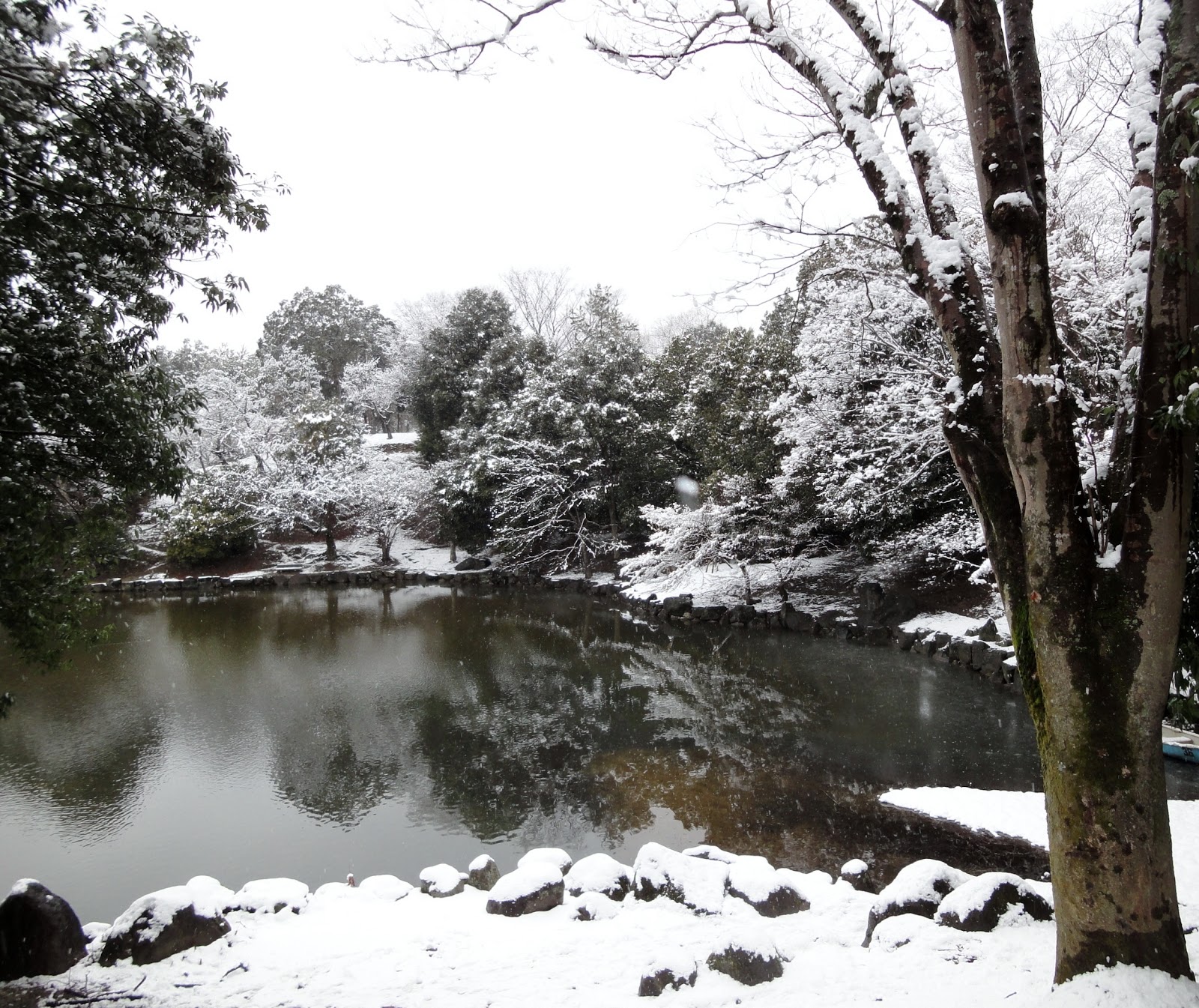 snowy pond