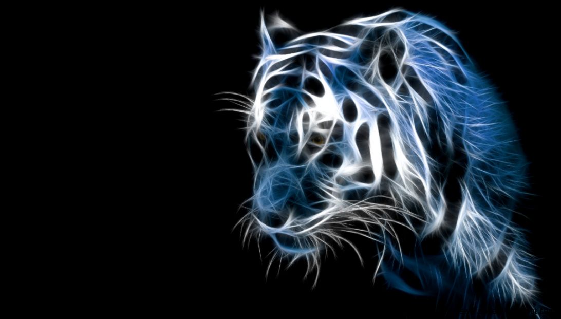 cool 3d wallpapers 24 cool 3d wallpapers 24